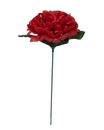 Silk Carnation