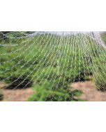 Christmas Tree Net