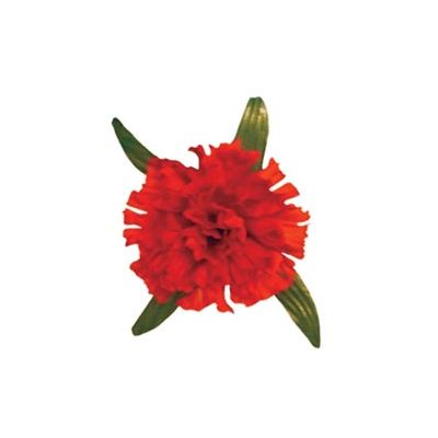 Silk Carnation