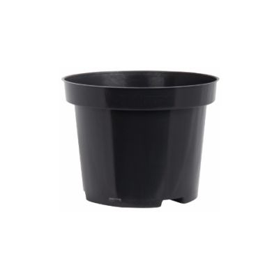 Container Pot