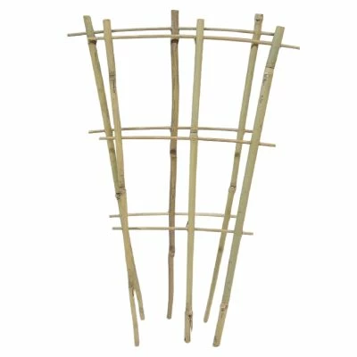 Bamboo Fan Trellis 