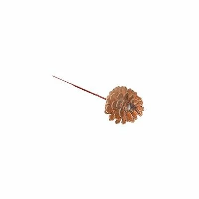 Wired Pine Cones