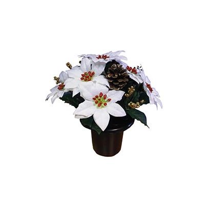 Crem Pot Poinsettia