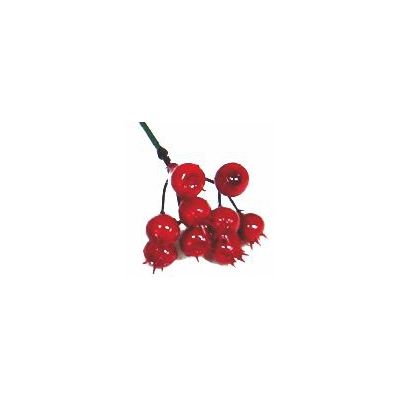 Berry Cluster On A Wire