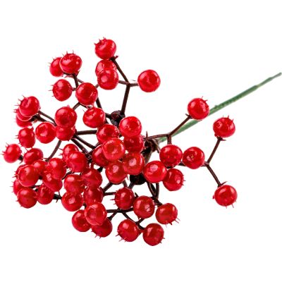 Berry Spray Pick.