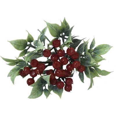 Berry Cluster With Leaves On A Wire.