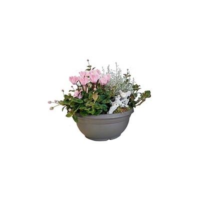 Orion Bulb Bowl