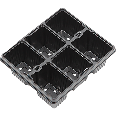 Aeroplas 6 Cell Bedding Tray