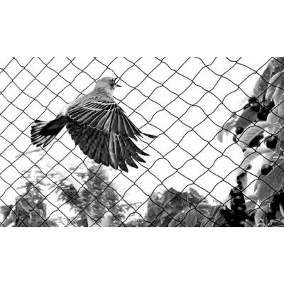 Anti Bird Netting