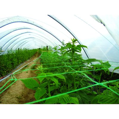 Pea & Bean Netting