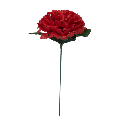 Silk Carnation