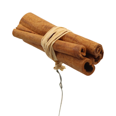 Cinnamon Stick On Wire