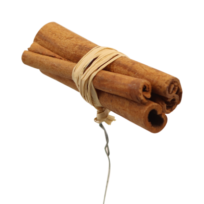 Cinnamon Stick On Wire - 20 per pack