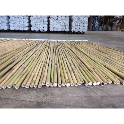 Bamboo Canes