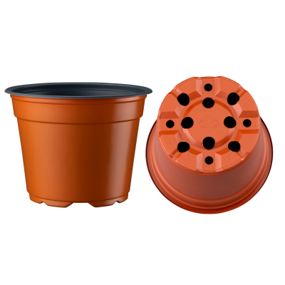 Desch 8° Low Thermoformed Pot