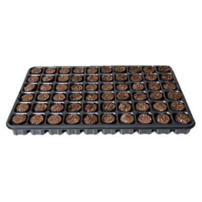 Fertiss Danish Tray 60 Plugs Per Tray