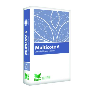 Multicote 6