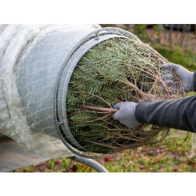 Christmas Tree Net