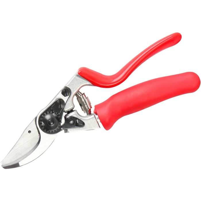 Felco 200 expert sale