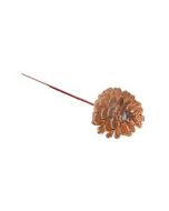 Pine Cones - Wired