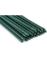 Metal Plant Support