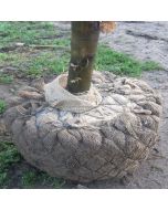 Wire Rootball Net