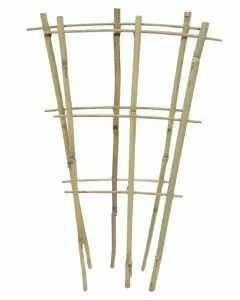 Bamboo Fan Trellis 