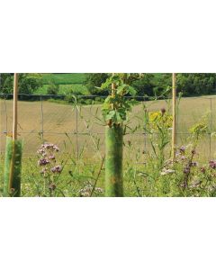 Spiral Guards - Bio