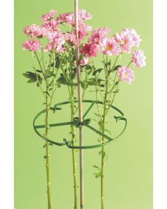 Plant Support Ring