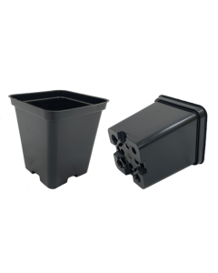 Square Container Pot