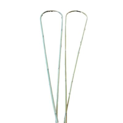 Bamboo Hoops