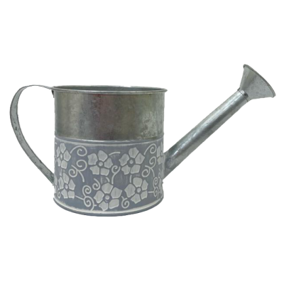 Brackenfield Watering Can
