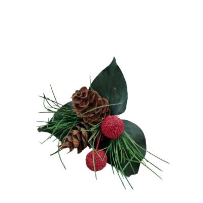 Pine Leaf, Douglas Cone & Plantball Pick