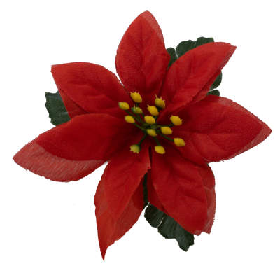 Silk Poinsettia