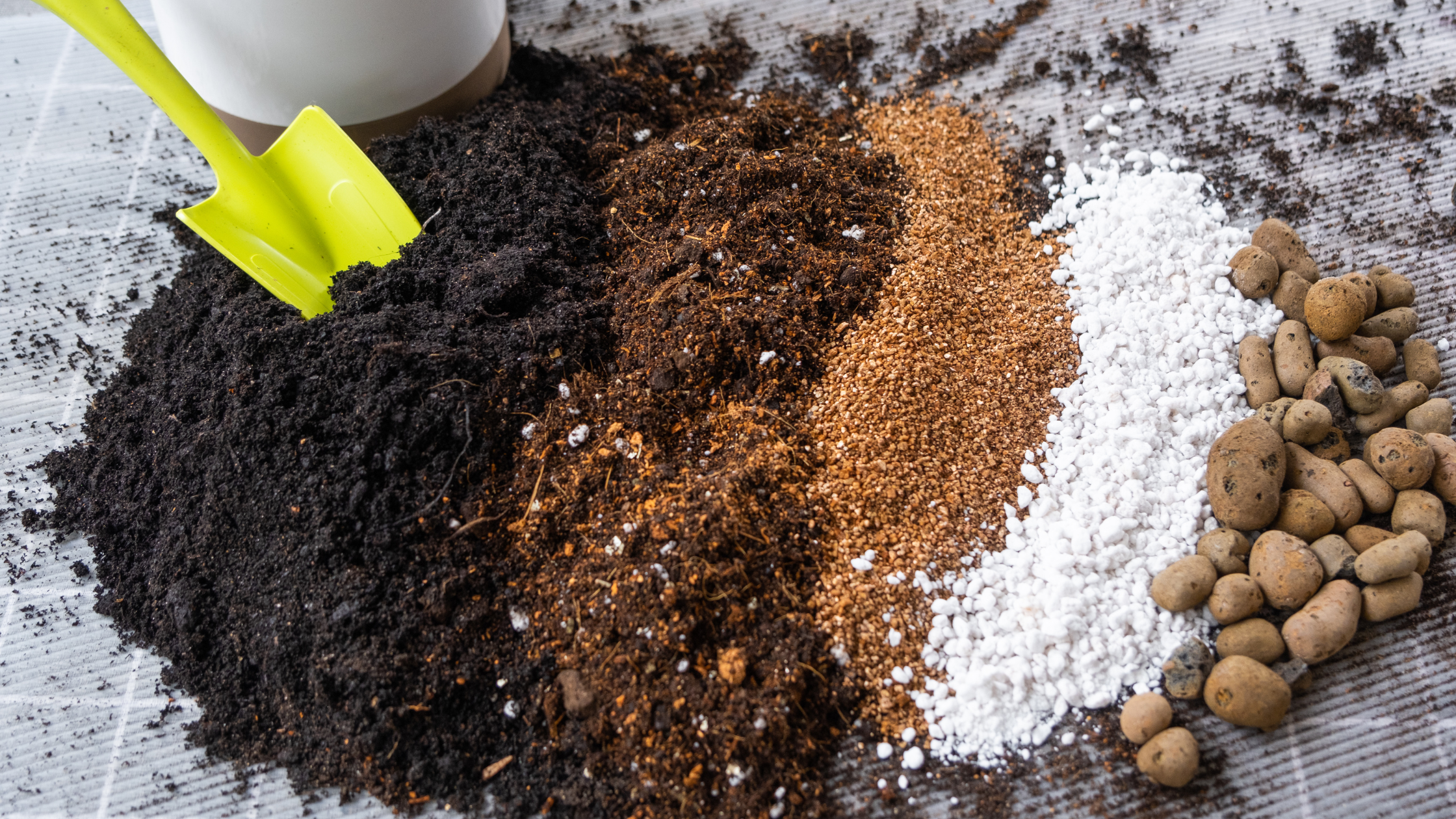 Choosing the Right Growing Medium for Fall Plants: A Guide for Seasoned and New Growers