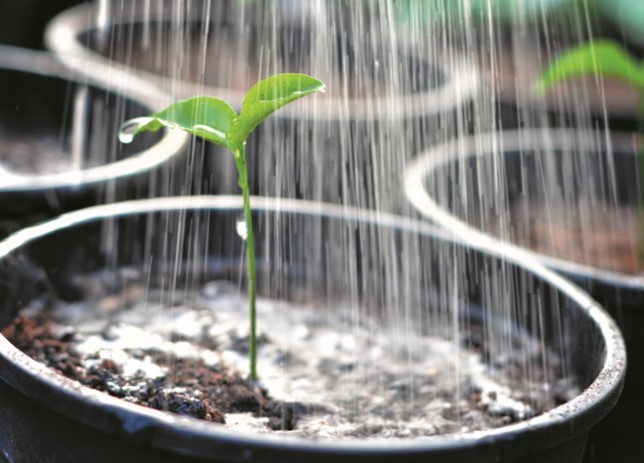 How to save water in the Horticultural Industry