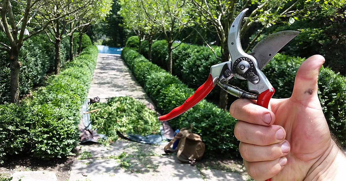 Какой Секатор Лучше Купить Для Сада Отзывы