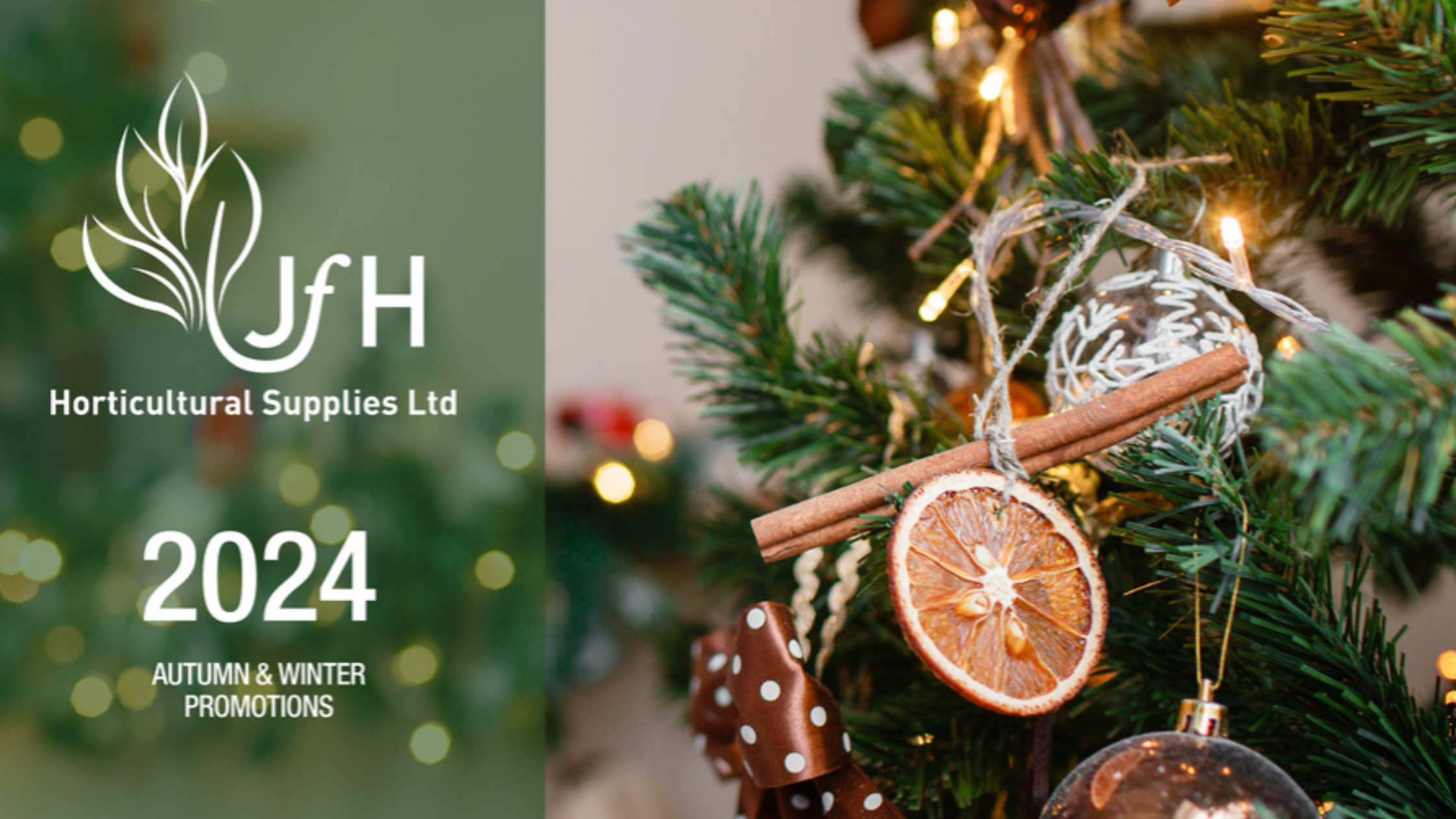 Welcome the Season with JFH: Explore Our New 2024 Autumn/Winter Brochure!