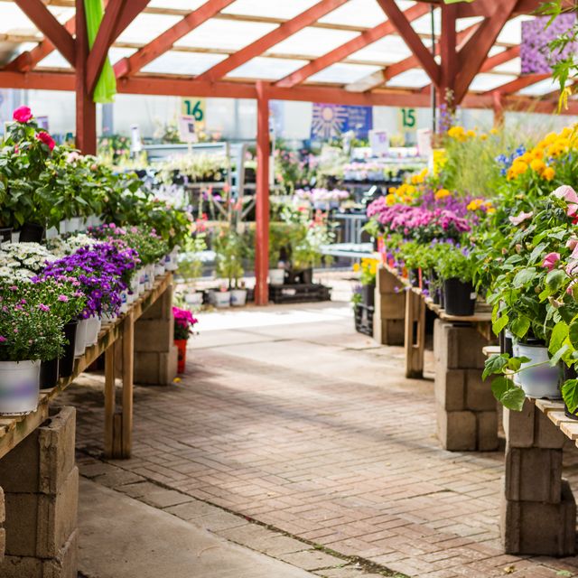 Maximising Spring sales opportunities within the Horticulture Industry