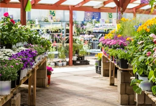 Reasons why Garden Centres should be happy in 2023