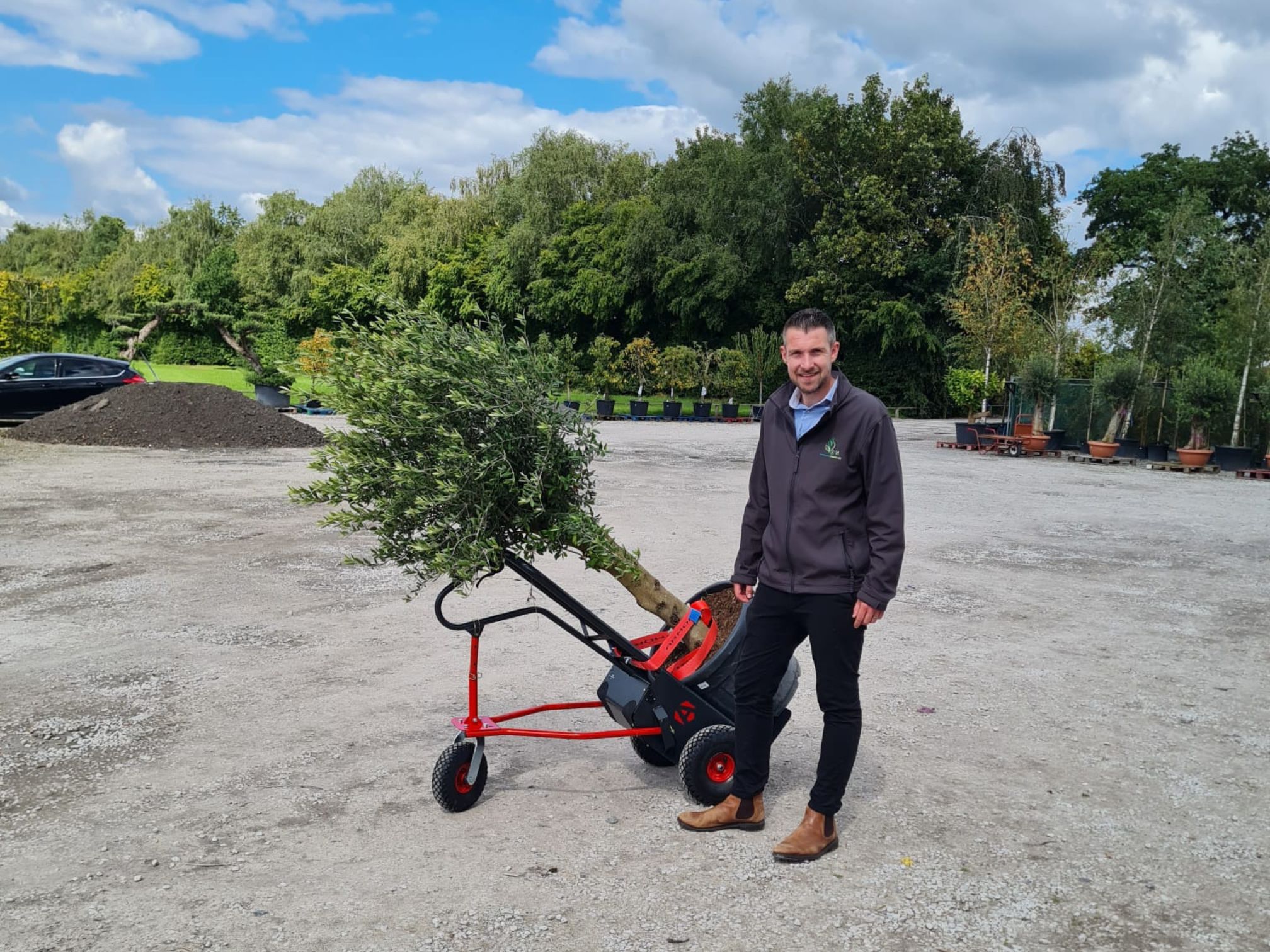 jfh tree caddy with tree