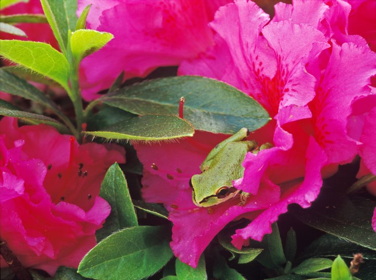 Wholesale growing medium for a spring full of planting