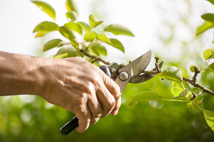 Prune and prepare: help your customers get set for spring