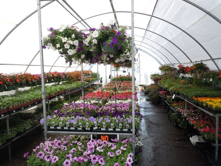 Get your nursery working at its best this summer