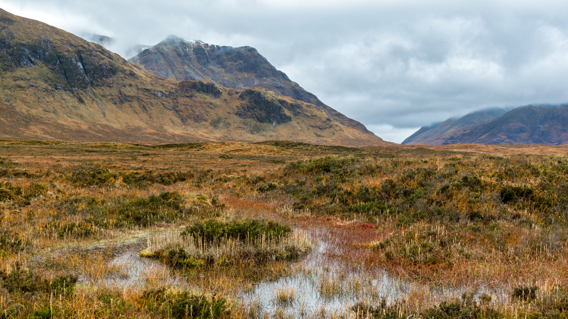 Navigating the Peat-Free Landscape: Challenges and Opportunities in Sustainable Gardening