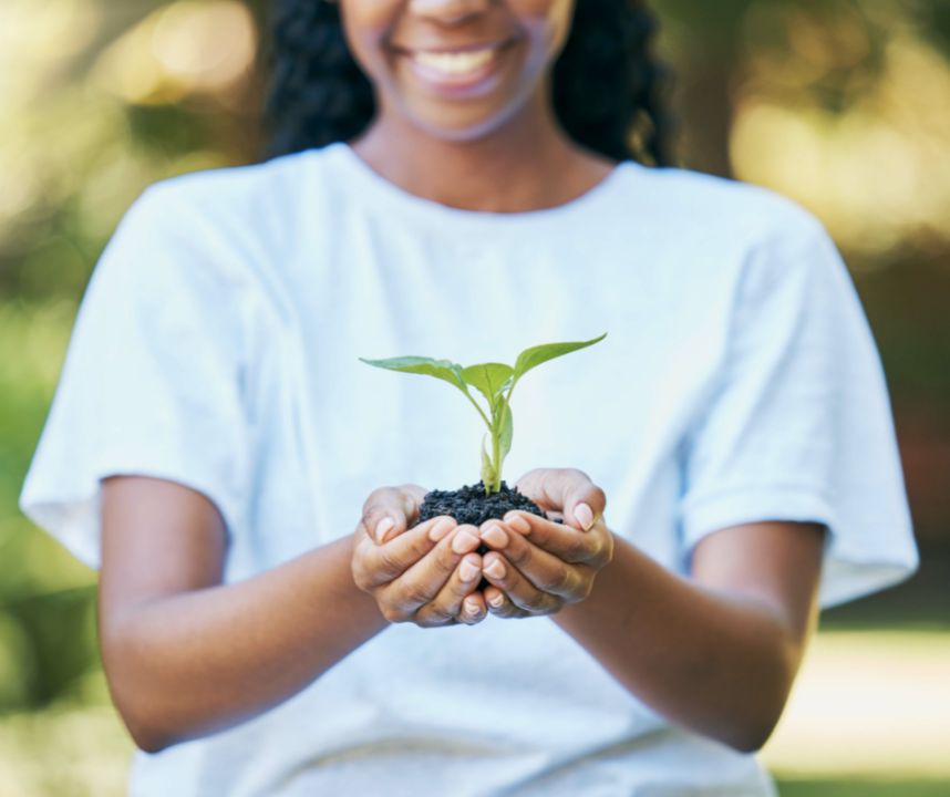 woman holding plant sprout in hands
